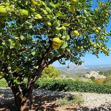 Casa De Limones * Campell